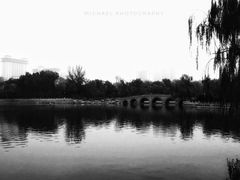 景点-迎泽公园
