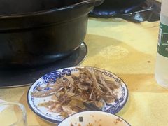 -一煲鸽
