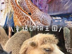 -长鹿旅游休博园