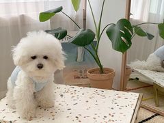-一起装修网(集团店)