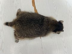 -浣熊柯尔鸭土拨鼠·电玩咖
