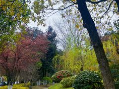 -岳麓山风景名胜区