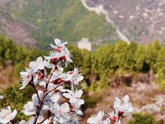 -居庸关长城