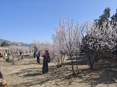 -白水寺森林公园