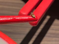 -胖哥俩肉蟹煲(福州仓山爱琴海店)