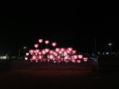 -西涌国际滨海旅游区