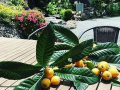-尚层别墅装饰·大宅装修定制设计(天津分公司)