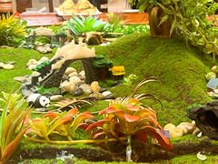 -渔掌门(铁东店)