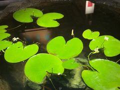 -31号公馆(黄兴广场白果园店)