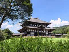 -奈良公园