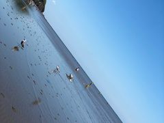 -大鹿岛