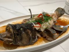 -双合园·海鲜水饺青岛菜(九水东路店)