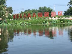 -陶辛水韵