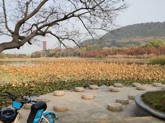 -云龙湖旅游景区