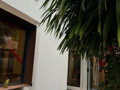 -老地方猫儿面(磁器口店)