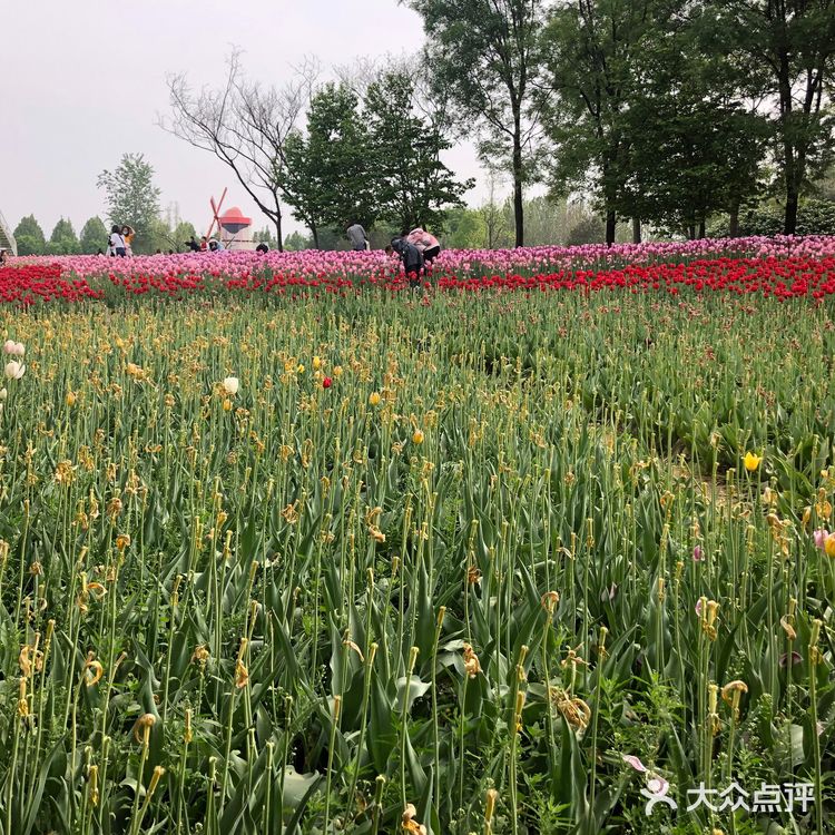 我们今天去那里野餐了，有成片的草地