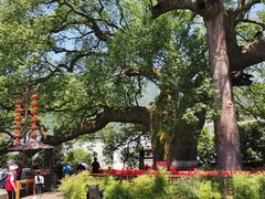 -新安江山水画廊风景区