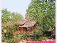 -南山植物园