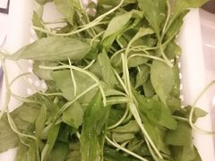-正能量脆肉鲩火锅