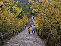 -天台山赤城山景区