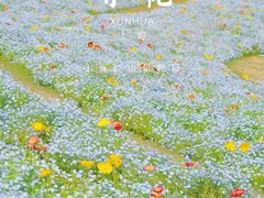 -上海辰山植物园