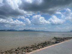 -深圳湾公园(南山区)