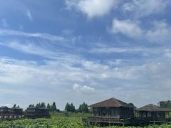 -军山湖云水间生态农业旅游景区