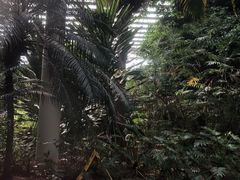 -龙达温泉生态城