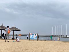 -碧海金沙