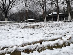 -白塘生态植物园