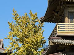 -香积寺