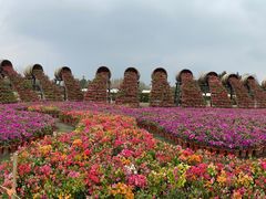 -东平国家森林公园