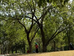 -盘龙城国家考古遗址公园