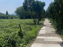 -兰亭风景区