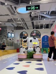-米兜欢乐王国·儿童乐园(宝安益田假日天地店)