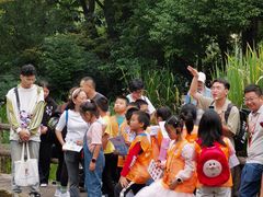 -成都市活水公园