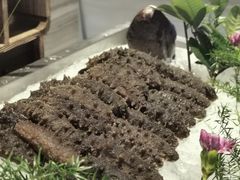-隐秀山居酒店·秀厨融合西餐厅