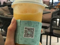 -野萃山·潮汕厚果汁(十亩地店)