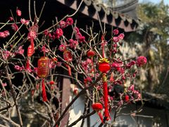 -复旦大学附属华山医院(总院)