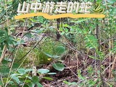 -周口店坡峰岭风景区