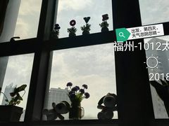 -1012太空舱青年旅舍(三坊七巷店)