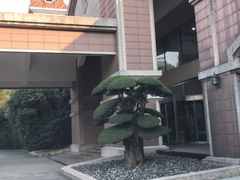 -旭宝高尔夫俱乐部