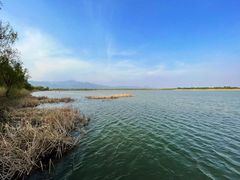 -野鸭湖国家湿地公园