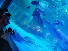 -常州海昌海洋探索馆