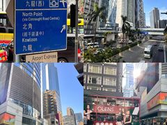 -Big Bus Tours 敞篷观光巴士