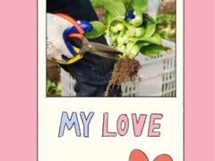 -前小桔亲子创意农场·草莓采摘·露营烧烤