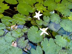 -国家植物园南园