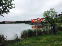 -上海长兴岛郊野公园