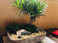 -梅间堂茶馆(绿地缤纷城店)