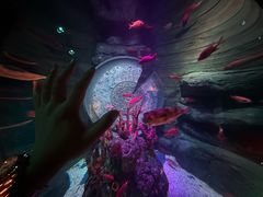 -沈阳海洋探索中心